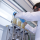 Extrao de ftalatos em Soxhlet no Laboratrio de Anlise Orgnica - metrologia qumica